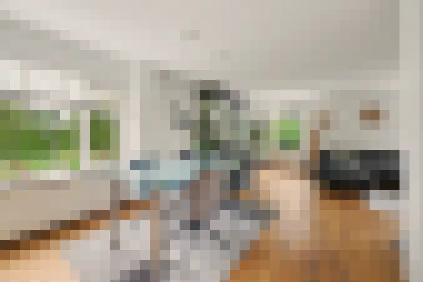 Voet- of Kraagweg 14 Rockanje thumbnail 23