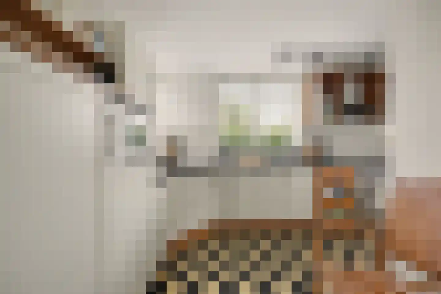 Voet- of Kraagweg 14 Rockanje thumbnail 26
