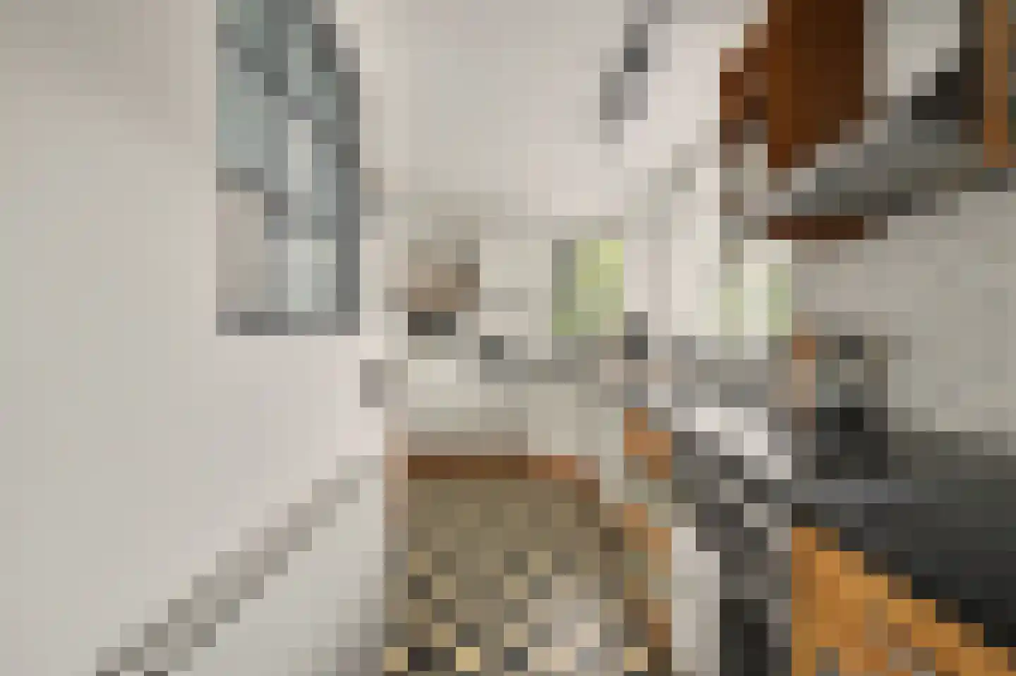 Voet- of Kraagweg 14 Rockanje thumbnail 28