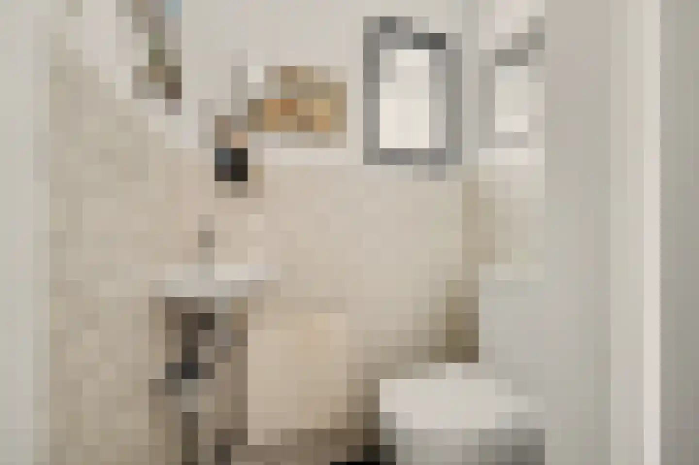 Voet- of Kraagweg 14 Rockanje thumbnail 33