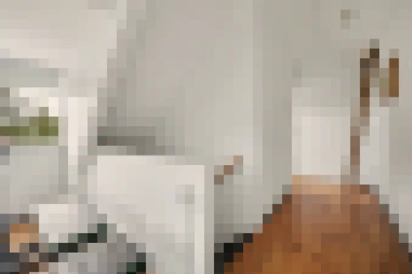 Voet- of Kraagweg 14 Rockanje thumbnail 37