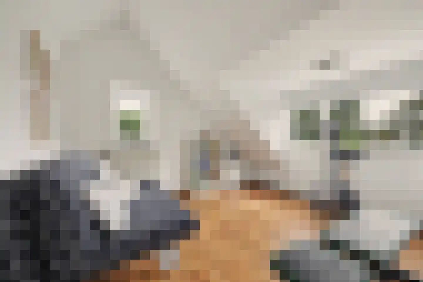 Voet- of Kraagweg 14 Rockanje thumbnail 38