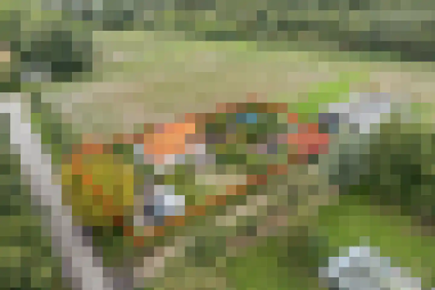 Voet- of Kraagweg 14 Rockanje thumbnail 4