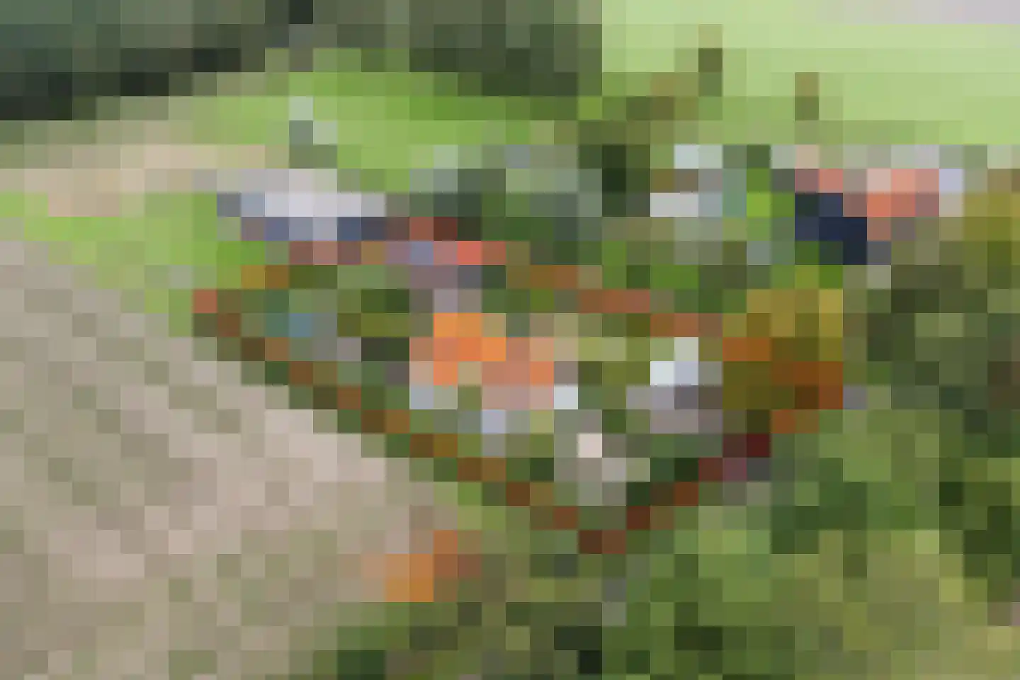 Voet- of Kraagweg 14 Rockanje thumbnail 5