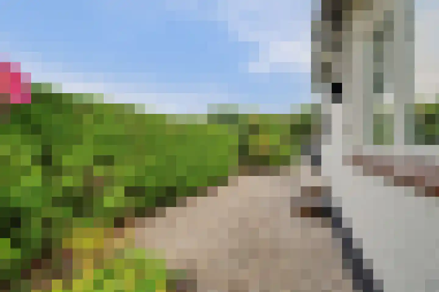 Voet- of Kraagweg 14 Rockanje thumbnail 50