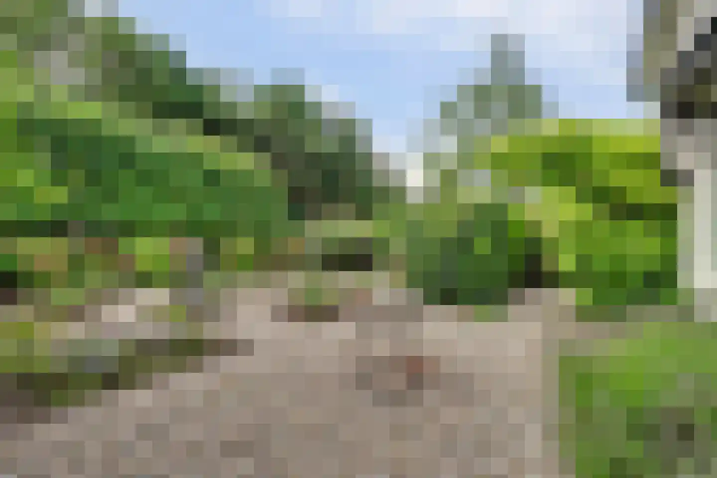 Voet- of Kraagweg 14 Rockanje thumbnail 52