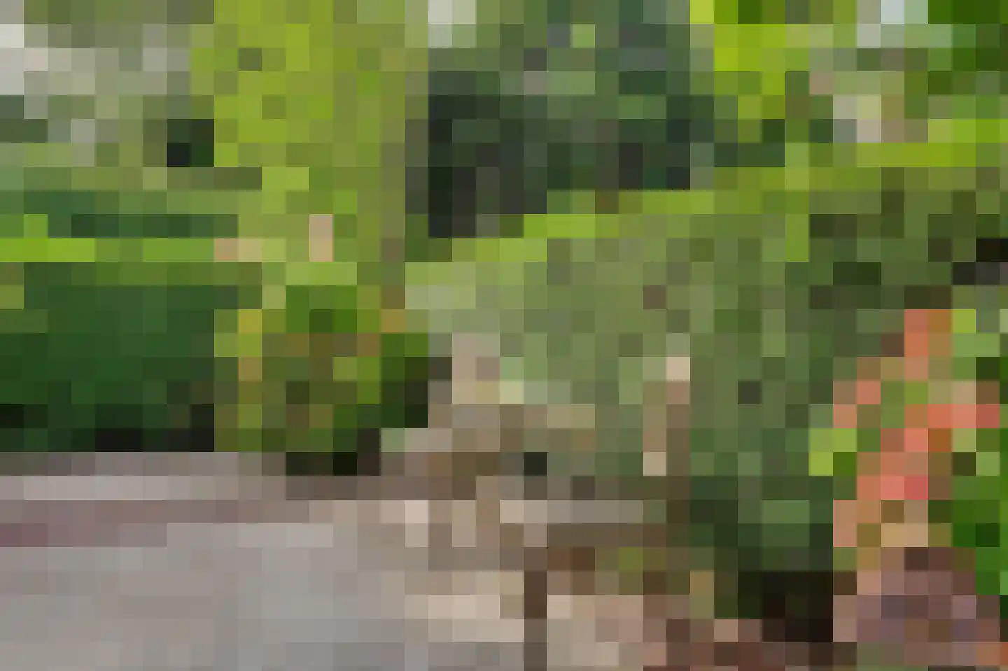 Voet- of Kraagweg 14 Rockanje thumbnail 53