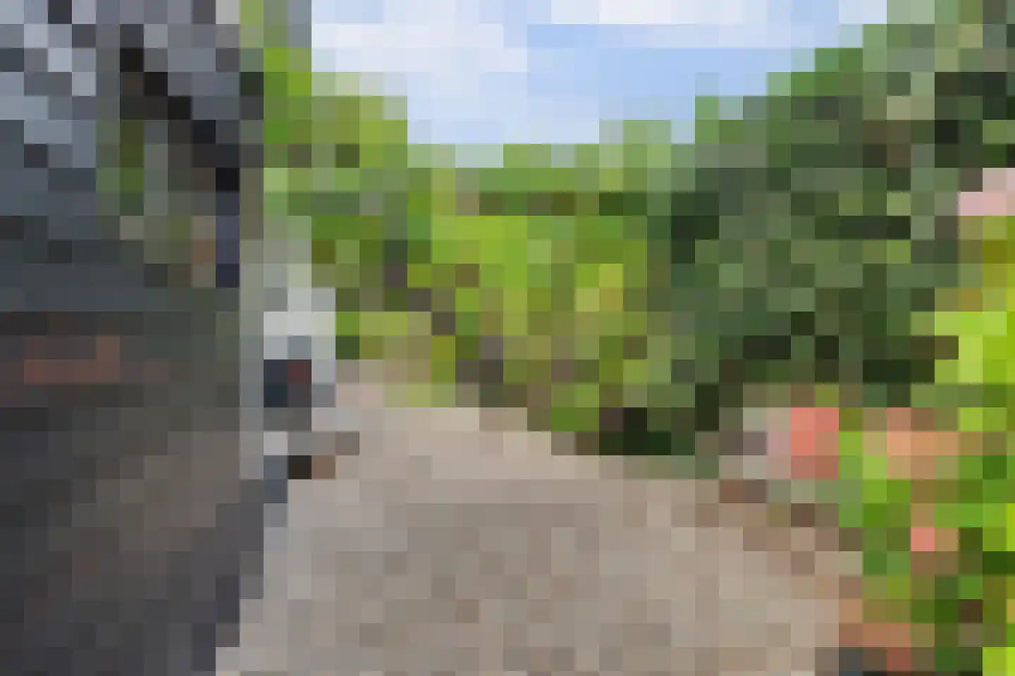 Voet- of Kraagweg 14 Rockanje thumbnail 54