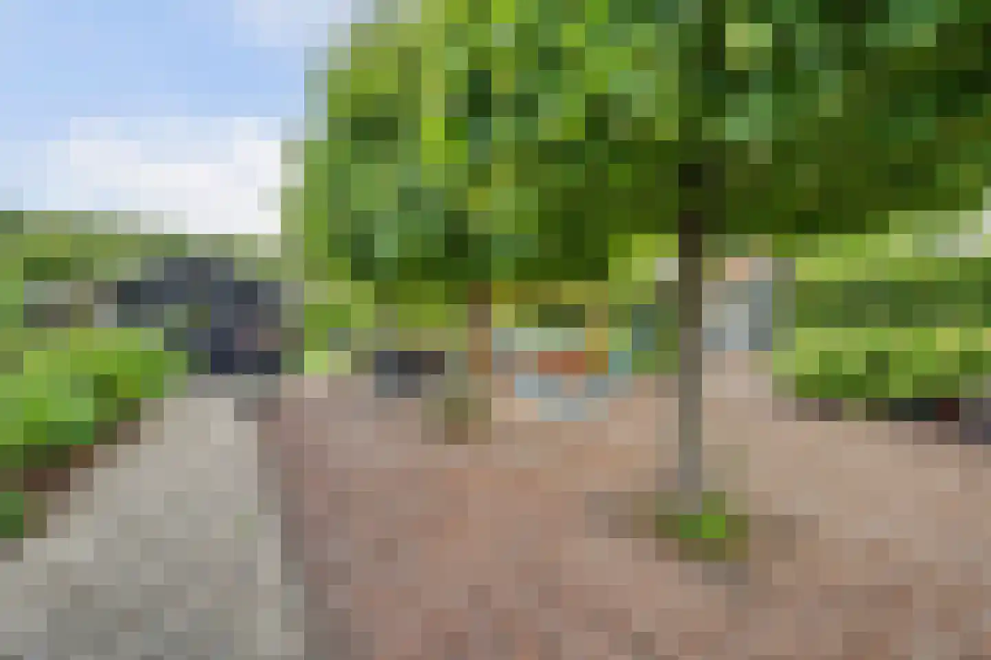 Voet- of Kraagweg 14 Rockanje thumbnail 55