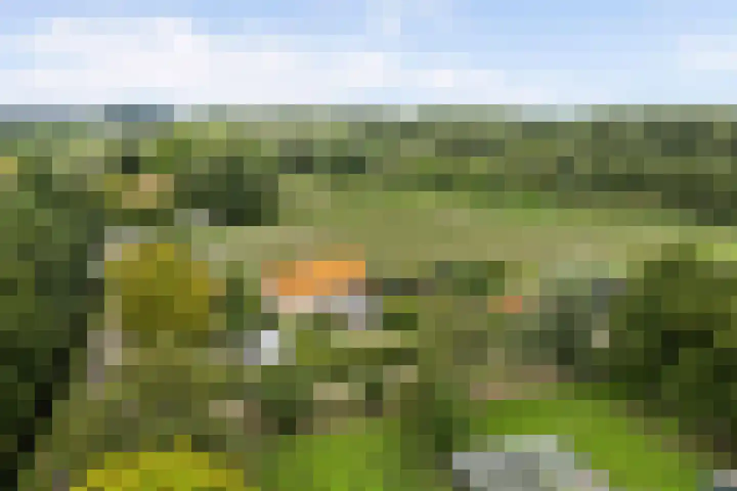 Voet- of Kraagweg 14 Rockanje thumbnail 66