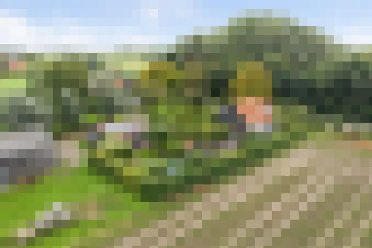 Voet- of Kraagweg 14 Rockanje thumbnail 67