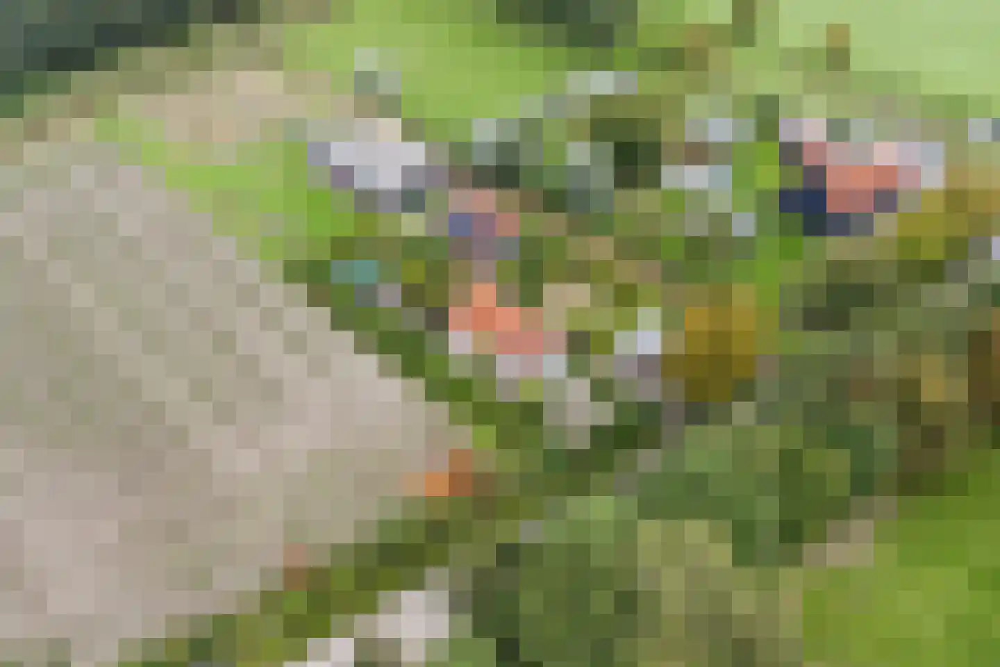 Voet- of Kraagweg 14 Rockanje thumbnail 69