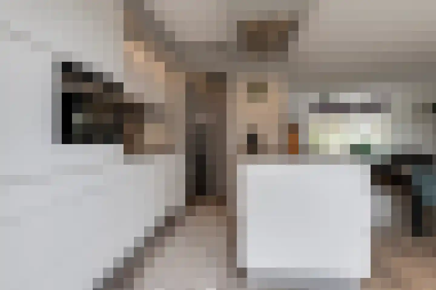 Voet van Oudheusdenlaan 8 Culemborg thumbnail 17