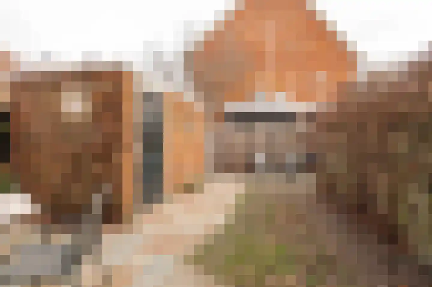 Voet van Oudheusdenlaan 8 Culemborg thumbnail 18