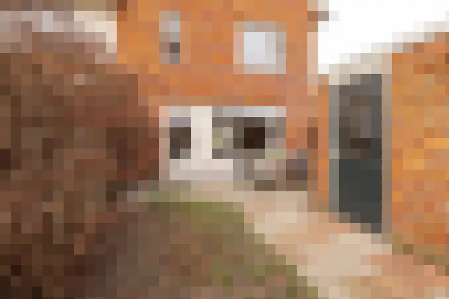 Voet van Oudheusdenlaan 8 Culemborg thumbnail 19
