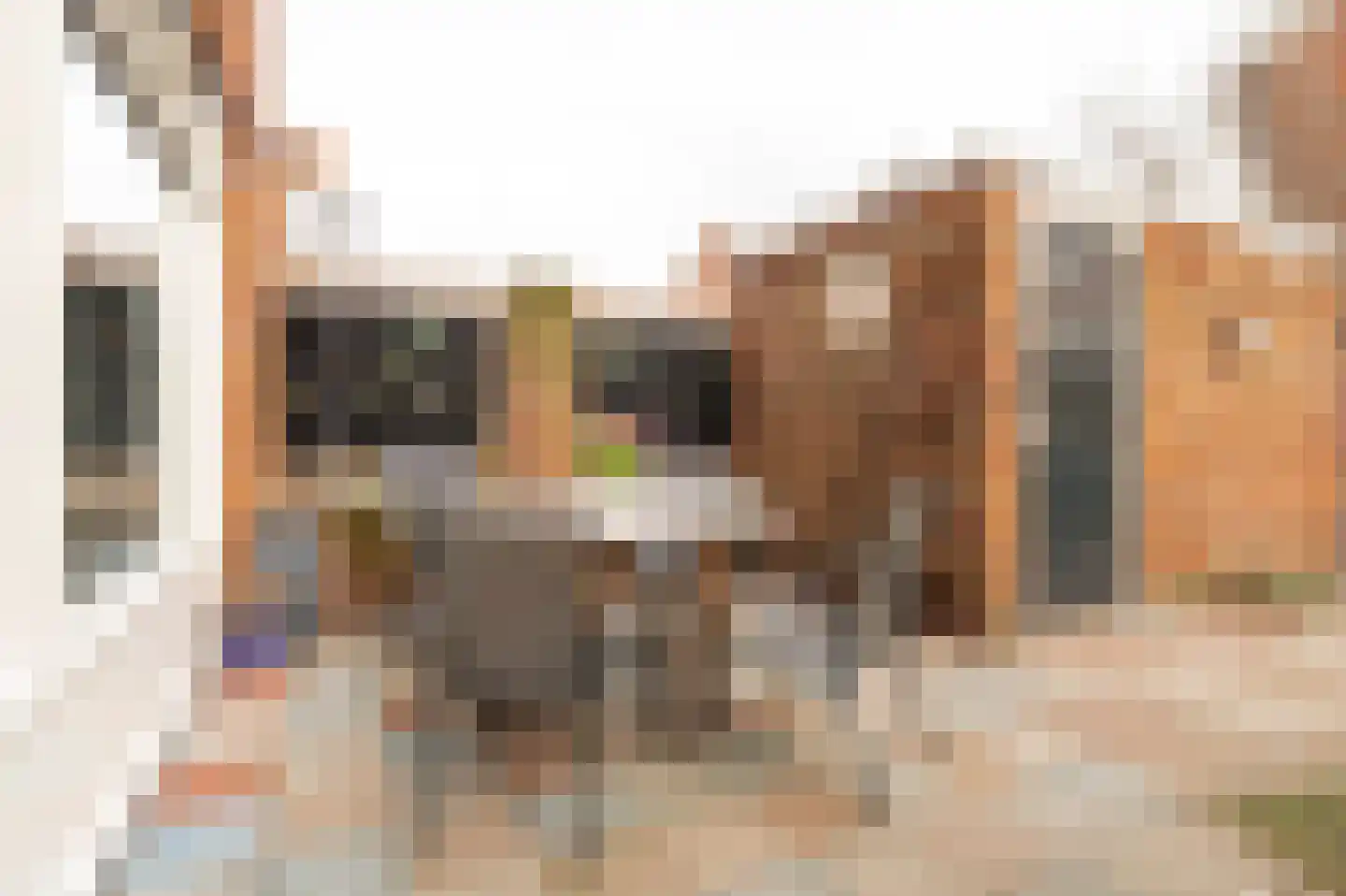 Voet van Oudheusdenlaan 8 Culemborg thumbnail 20