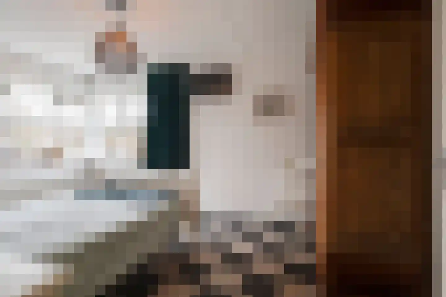 Voet van Oudheusdenlaan 8 Culemborg thumbnail 22