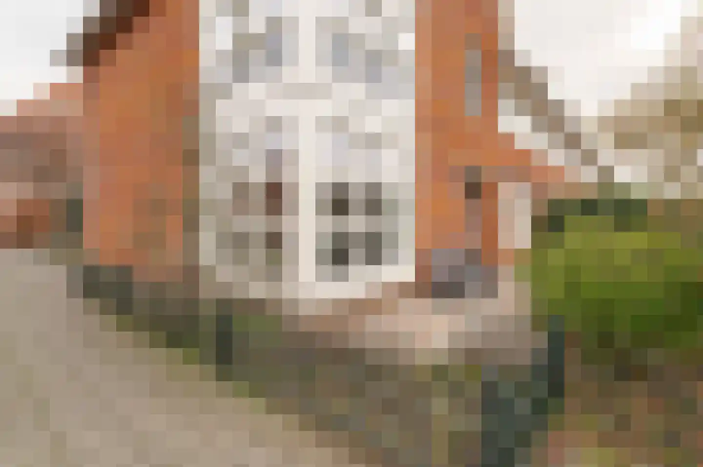Voet van Oudheusdenlaan 8 Culemborg thumbnail 36
