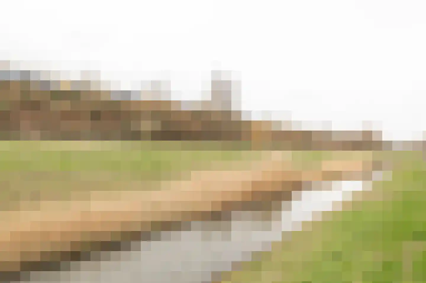 Voet van Oudheusdenlaan 8 Culemborg thumbnail 37