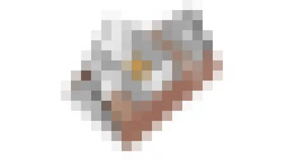 Voet van Oudheusdenlaan 8 Culemborg thumbnail 46