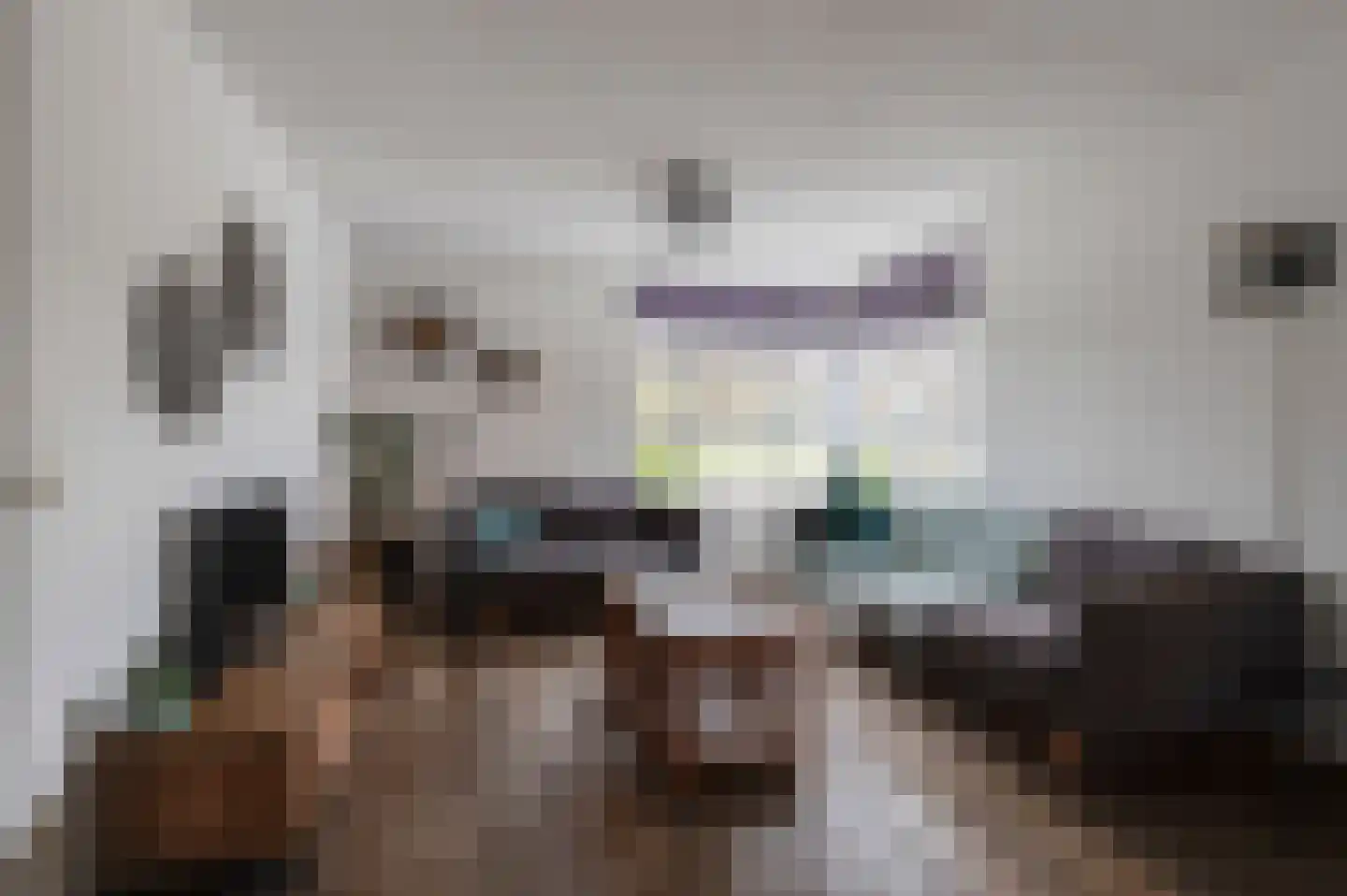 Voet van Oudheusdenlaan 8 Culemborg thumbnail 8