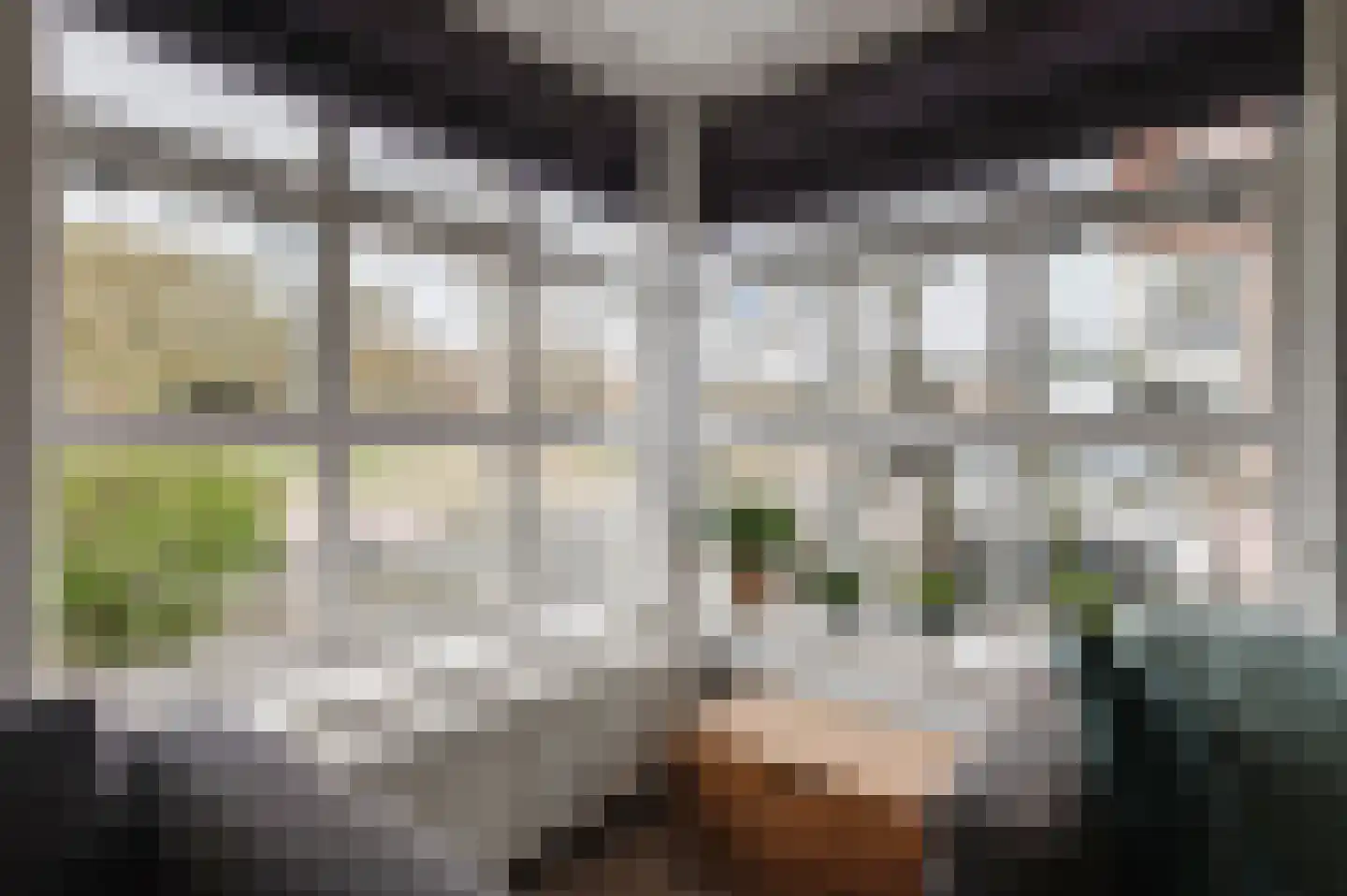 Voet van Oudheusdenlaan 8 Culemborg thumbnail 9