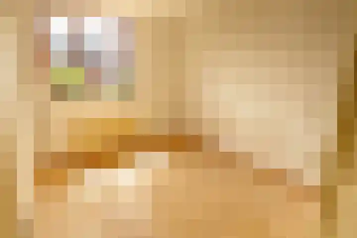 Voetakker 1 Zaltbommel thumbnail 10