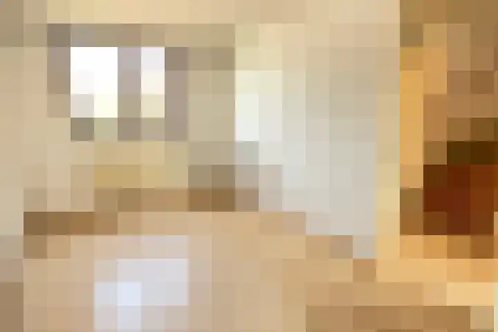 Voetakker 1 Zaltbommel thumbnail 11