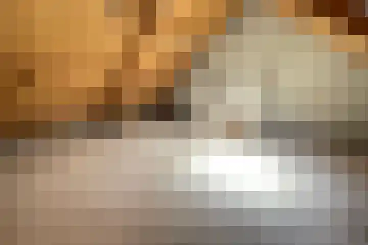 Voetakker 1 Zaltbommel thumbnail 13