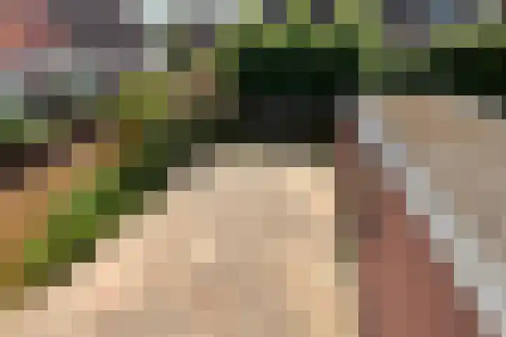 Voetakker 1 Zaltbommel thumbnail 14