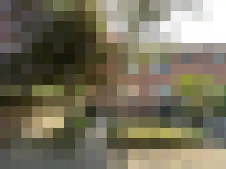 Voetakker 1 Zaltbommel thumbnail 15