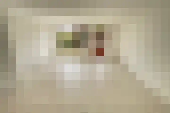 Voetakker 1 Zaltbommel thumbnail 4