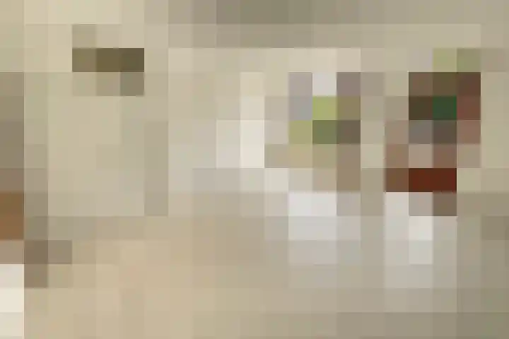 Voetakker 1 Zaltbommel thumbnail 5