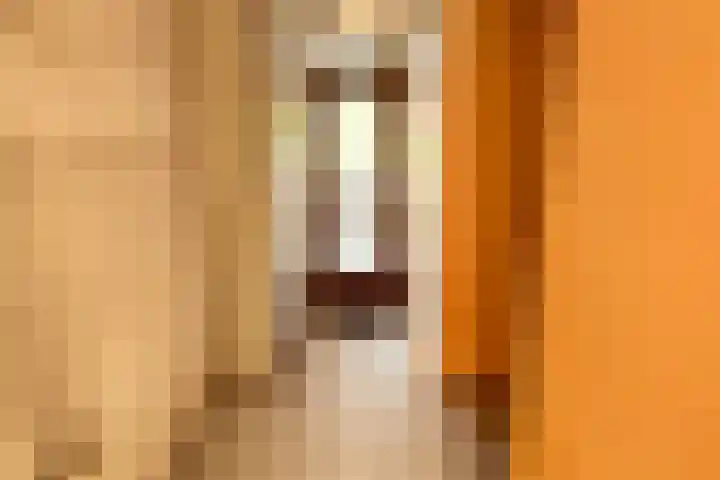 Voetakker 1 Zaltbommel thumbnail 7