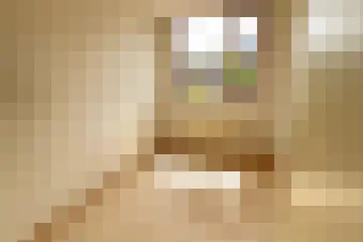 Voetakker 1 Zaltbommel thumbnail 9