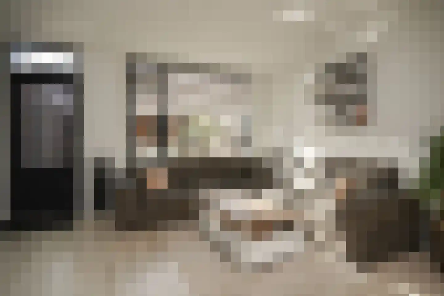 Voetakker 11 Zaltbommel thumbnail 12