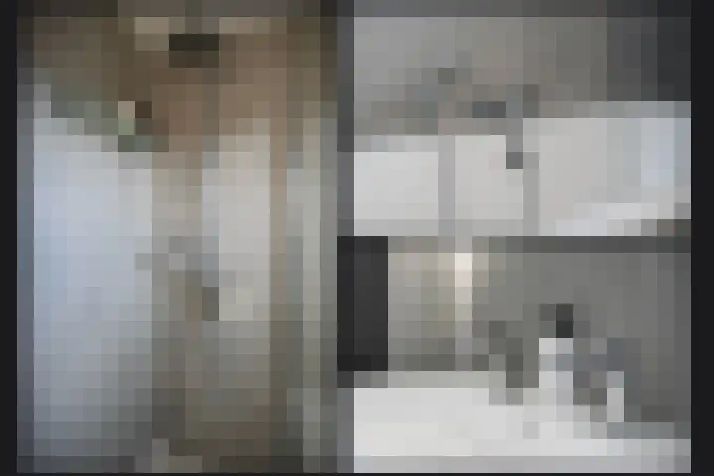 Voetakker 11 Zaltbommel thumbnail 19