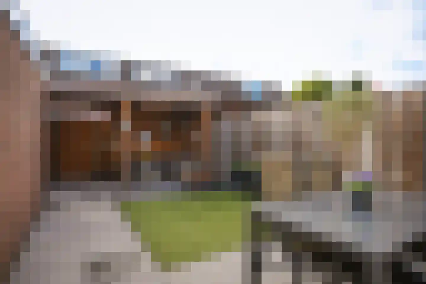 Voetakker 11 Zaltbommel thumbnail 27