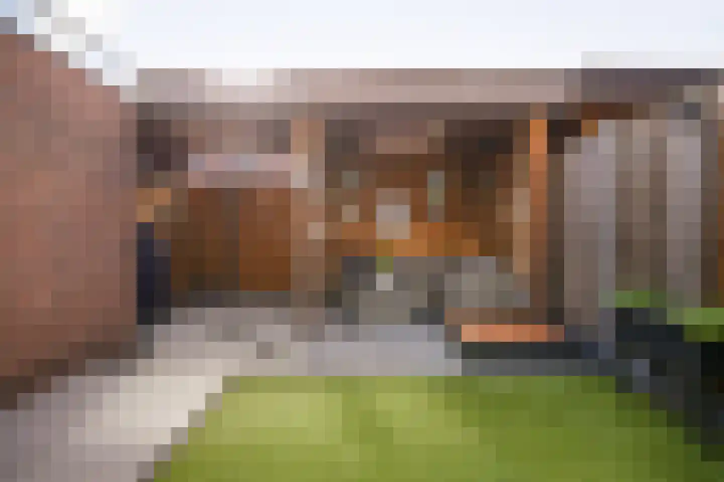 Voetakker 11 Zaltbommel thumbnail 28