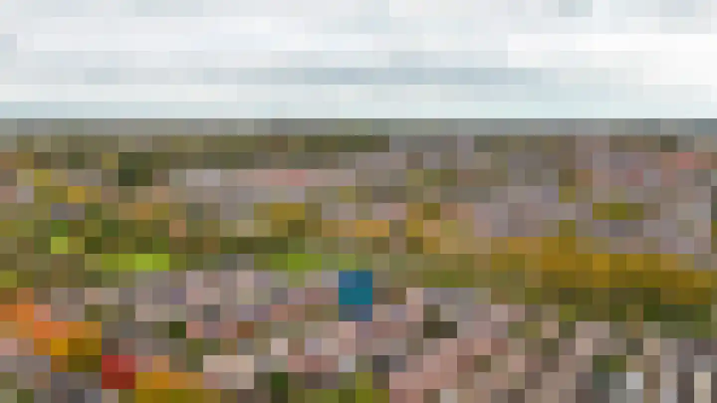 Voetakker 11 Zaltbommel thumbnail 39