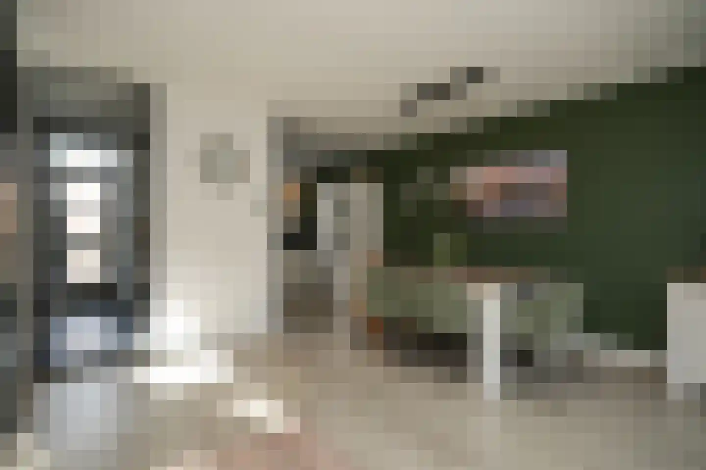 Voetakker 11 Zaltbommel thumbnail 6