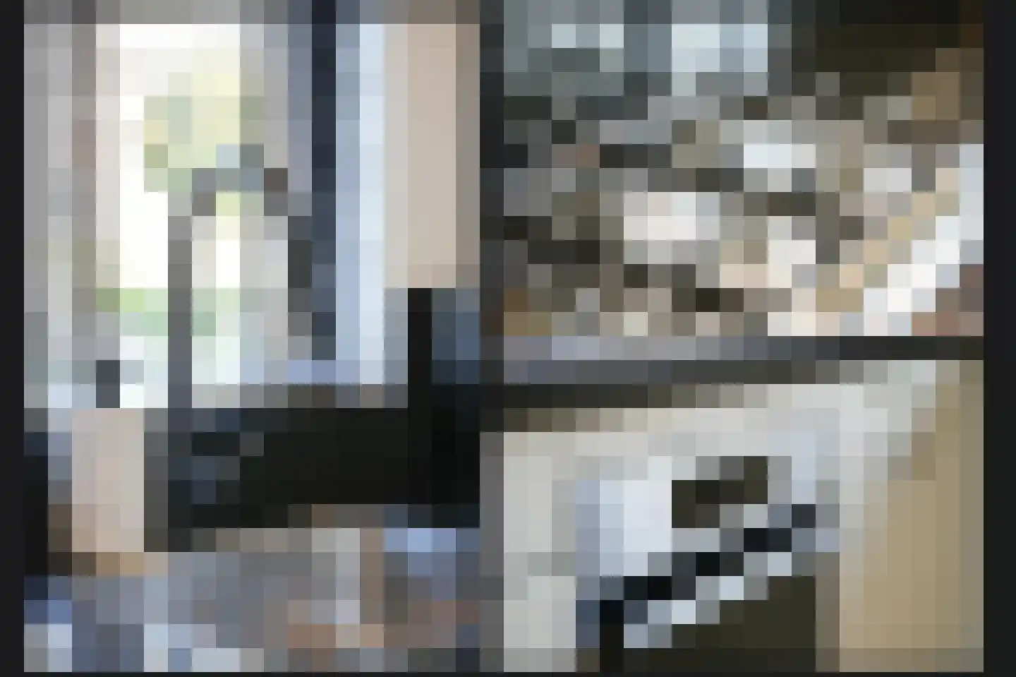 Voetakker 11 Zaltbommel thumbnail 9