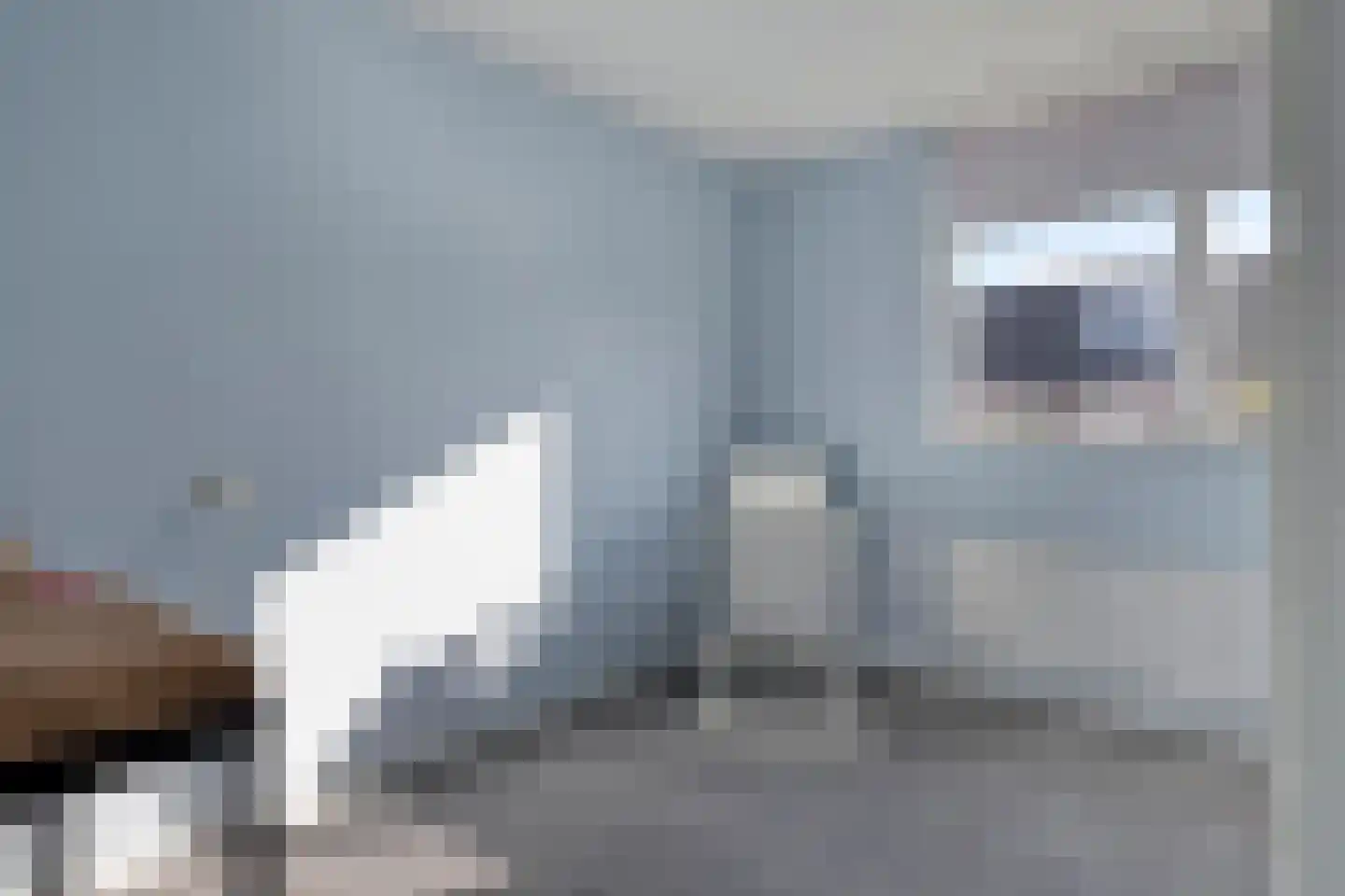 Voetakker 19 Zaltbommel thumbnail 21