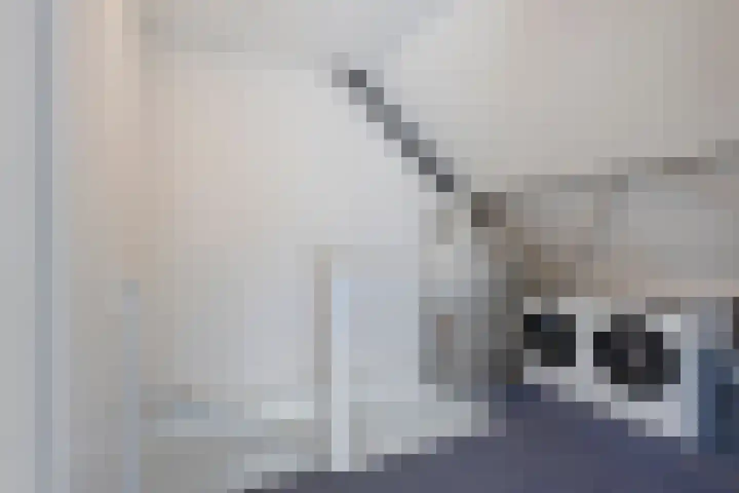 Voetakker 19 Zaltbommel thumbnail 23