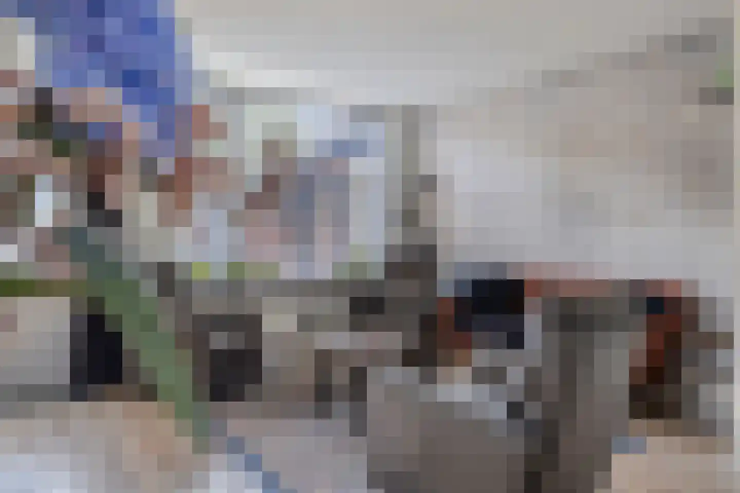 Voetakker 19 Zaltbommel thumbnail 8
