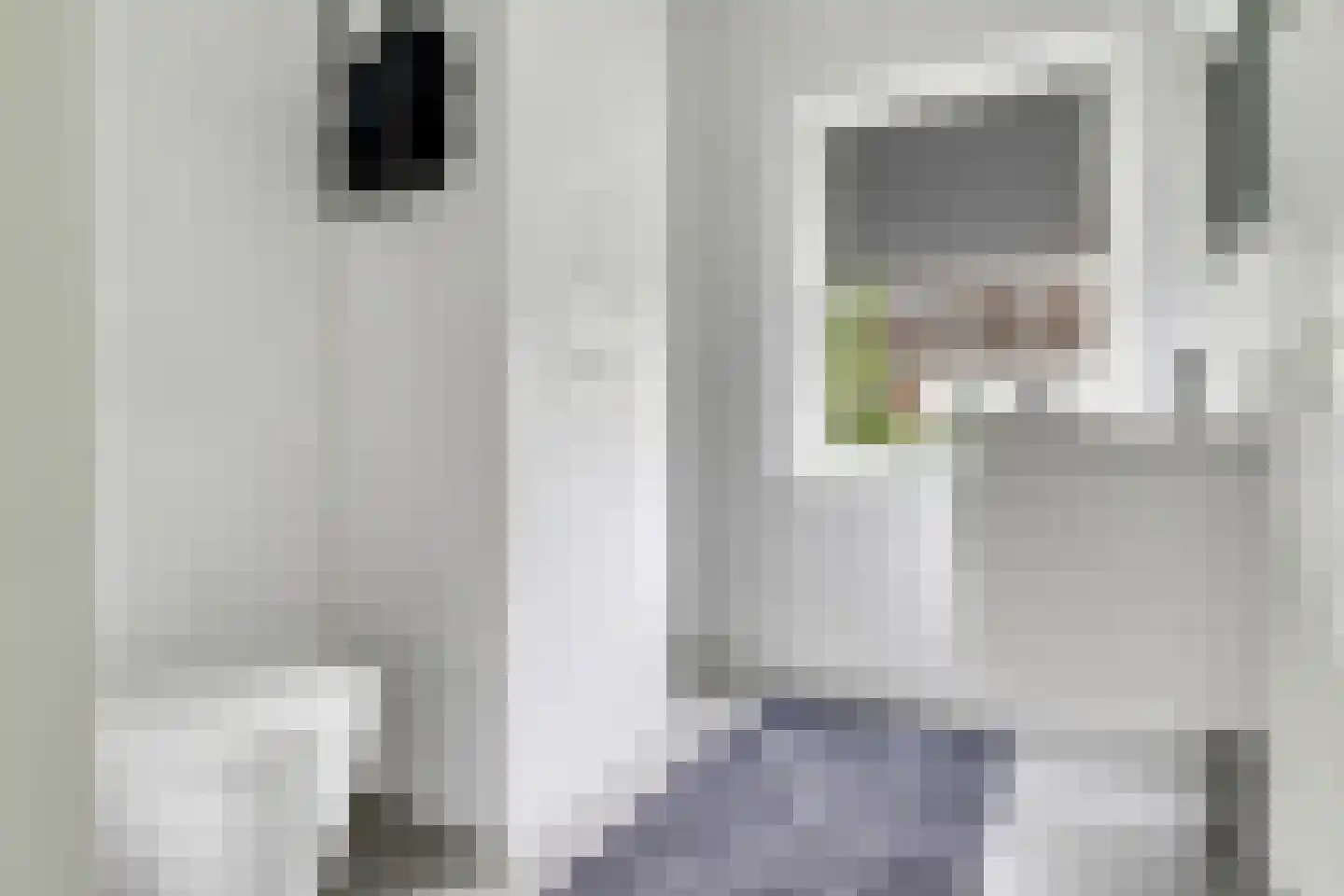 Voetakkerhoeve 12 Werkhoven thumbnail 15