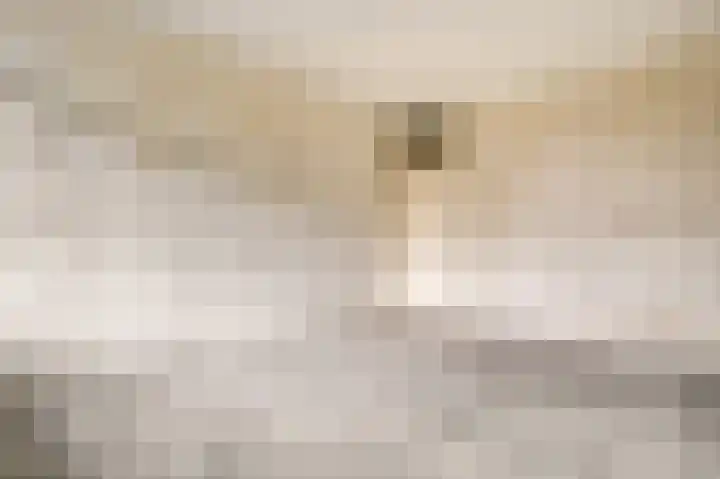 Voetakkerhoeve 15 in Werkhoven