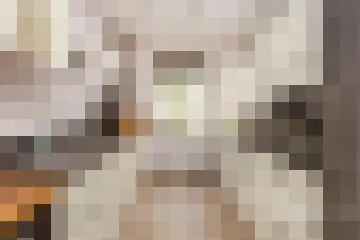Voetakkerhoeve 9 Werkhoven thumbnail 10