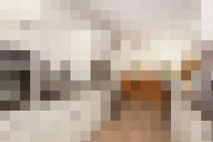 Voetakkerhoeve 9 Werkhoven thumbnail 11