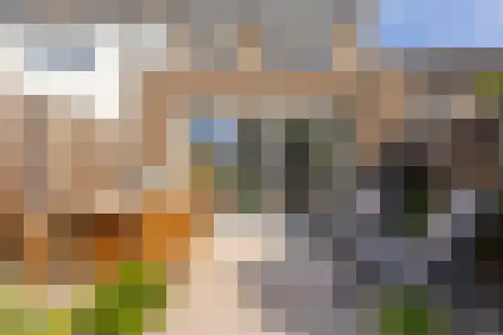 Voetakkerhoeve 9 Werkhoven thumbnail 12